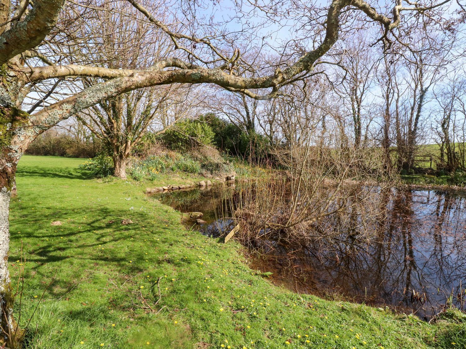 A tranquil riverside path with a grassy area and trees.