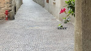 A cobblestone street flanked by stone buildings with a red fire hydrant and a potted plant with pink flowers. - Stella - panoramic attic in the BOTTONERA casa vacanza in alpine design (Chiavenna)