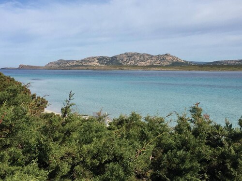 Exclusive Villa on the Pelosa Beach