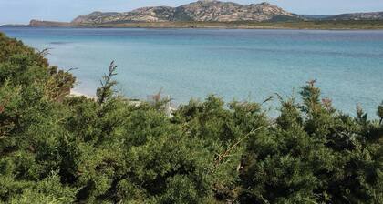 Exclusive Villa on the Pelosa Beach