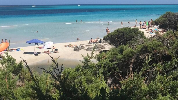 A beach with clear turquoise water, people swimming and sunbathing, and a few boats in the distance. - Exclusive Villa on the Pelosa Beach (Stintino)
