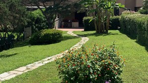 A well-maintained garden with a stone pathway leading to a building with a tiled roof. - Exclusive Villa on the Pelosa Beach (Stintino)