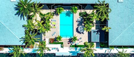 Vista aérea de un complejo turístico con una piscina central rodeada de palmeras y sillones de descanso.