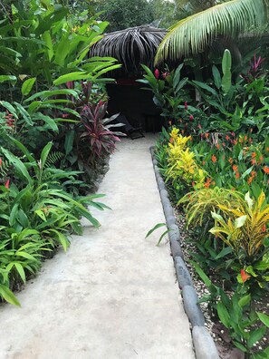 Property grounds - Venus of the beach (Montezuma)