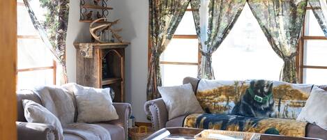Fireplace, books