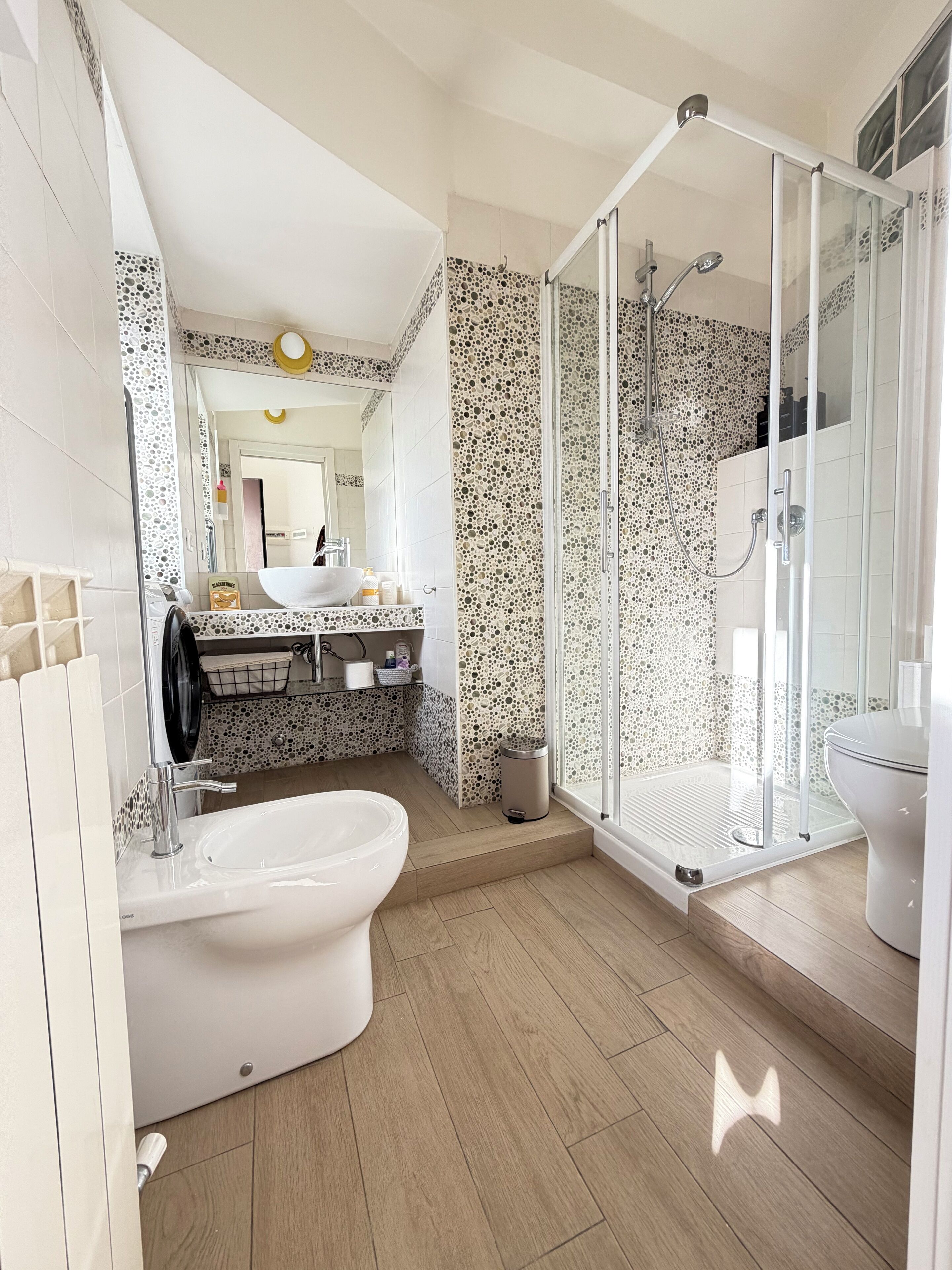 Shower, hair dryer, bidet, towels
