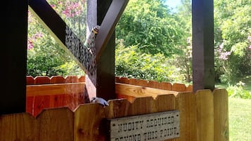 Terrain de l’hébergement