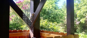 Bastrop/Smithville Beauty on the Colorado River