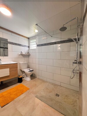 Shower, hair dryer, towels, toilet paper - Charming bungalow south of Martinique Le canne bleu (Rivière-Salée)