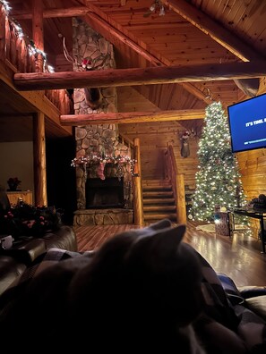 Interior - Mountain feel/10 minutes from the city! (Pittsburgh)
