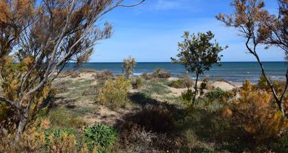 Ap437 in Oliva With 2 Bedrooms and 1 Bathrooms