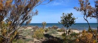 Ap437 in Oliva With 2 Bedrooms and 1 Bathrooms