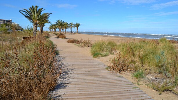 A wooden boardwalk leading to a beach with palm trees and a clear sky. - 02 Ap2106 in Denia With 2 Bedrooms and 1 Bathrooms (Denia)