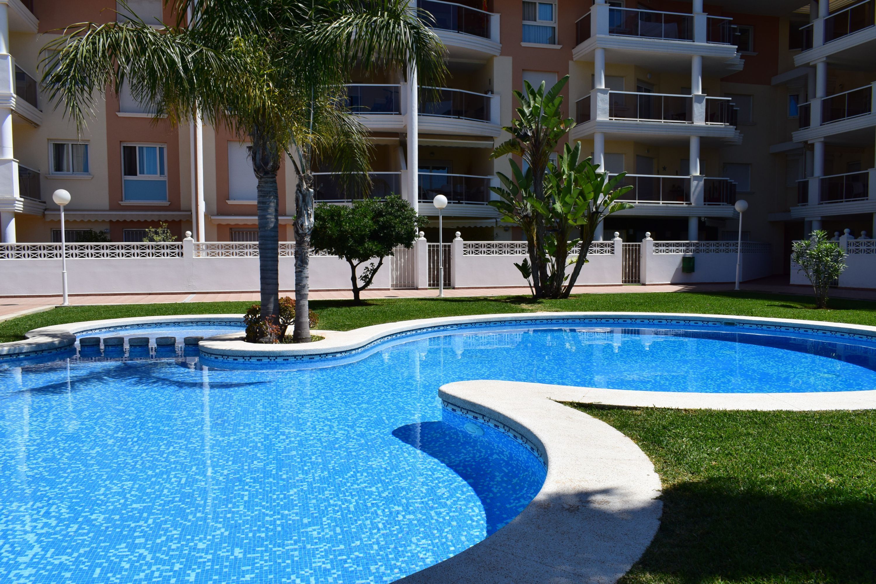 A swimming pool with a curved edge, surrounded by a white fence and palm trees.