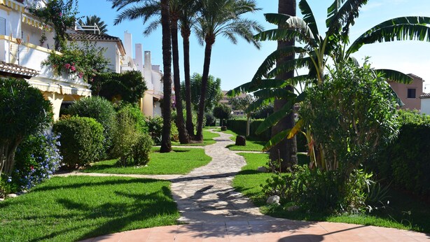 A pathway leading to a pool surrounded by lush greenery and palm trees. - Dup2136 in Denia With 2 Bedrooms and 1 Bathrooms (Denia)