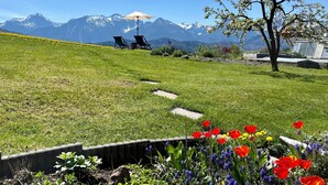Zona verde con vista a la montaña, dos sillones de descanso y un pequeño árbol.
