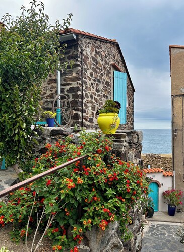 Luminous detached villa with sea view, terrace, garden, garage, swimming pool Collioure