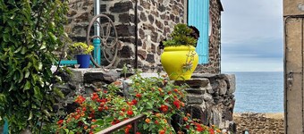 Luminous detached villa with sea view, terrace, garden, garage, swimming pool Collioure