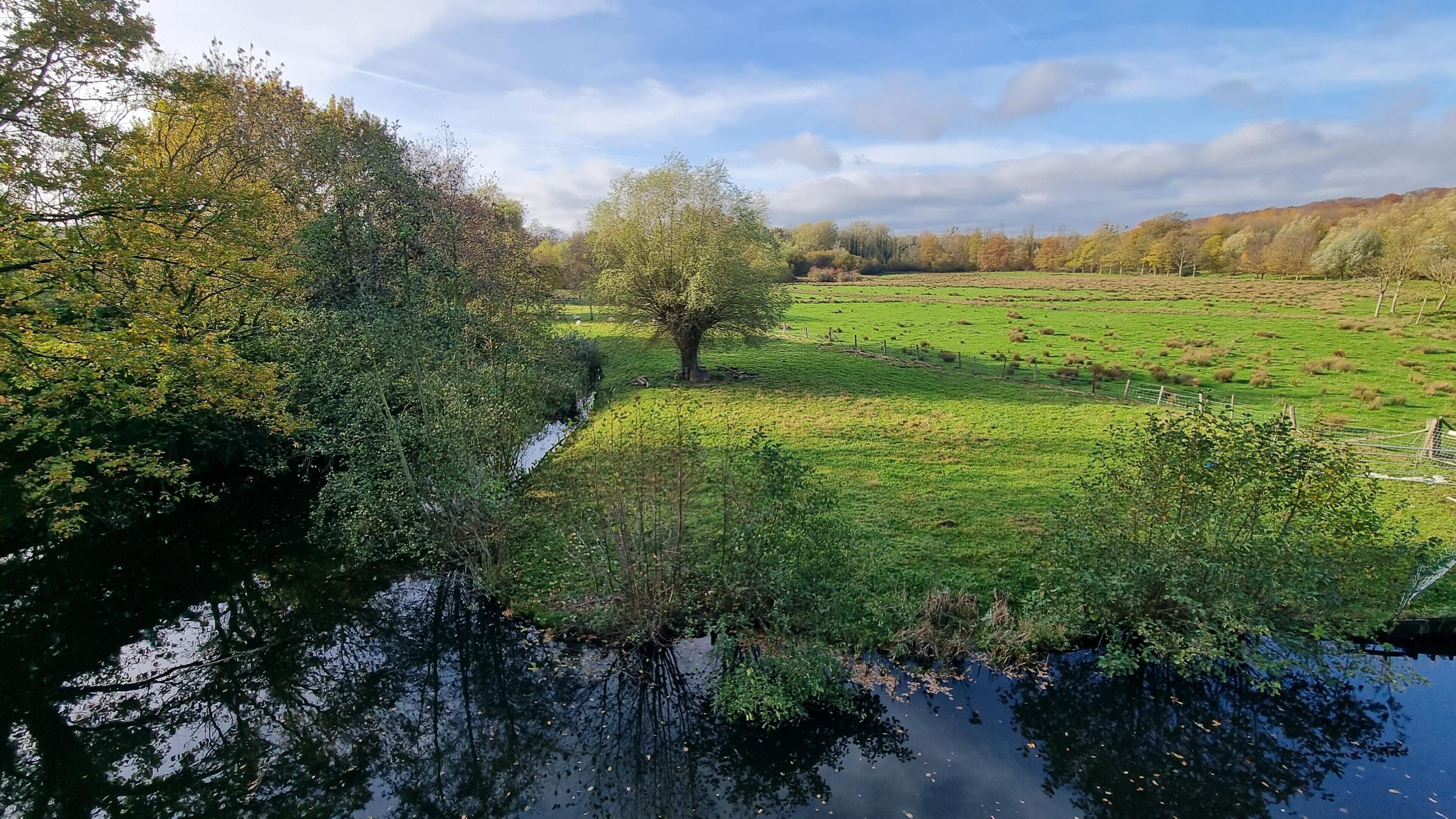 Een rustig landschap met een rivier die bomen weerspiegelt, een grasveld en heuvels in de verte.