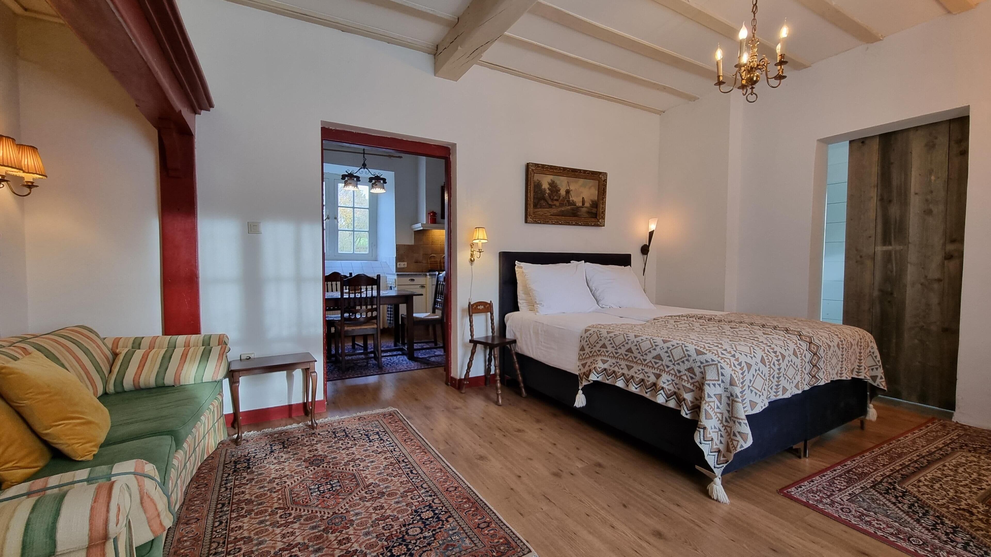 Suite, 1 cama Queen size, para no fumadores (Shower Only)