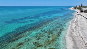 Una playa con aguas cristalinas y poco profundas que dejan ver rocas, una orilla arenosa y una hilera de casas.