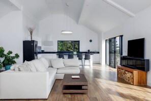 Smart TV, fireplace, books