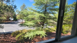 A parking lot with trees and a building in the background.