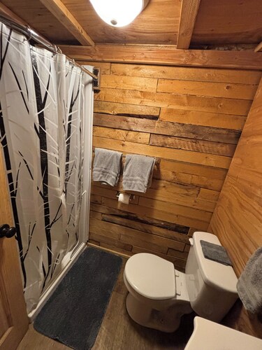 The Cozy cabin
