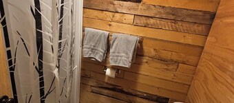 The Cozy cabin