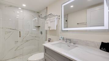 Shower, hair dryer, towels