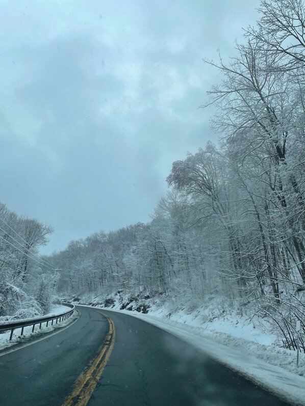 A snow-covered road curving through a forest.