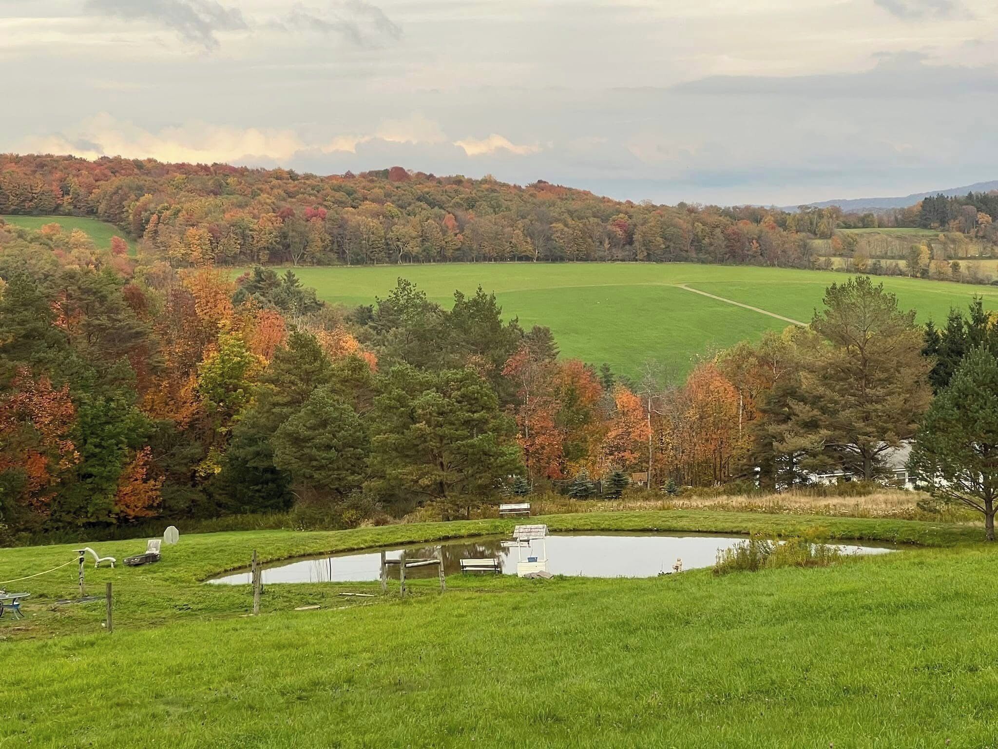 A rural landscape with a pond, grassy fields, and autumn-colored trees.