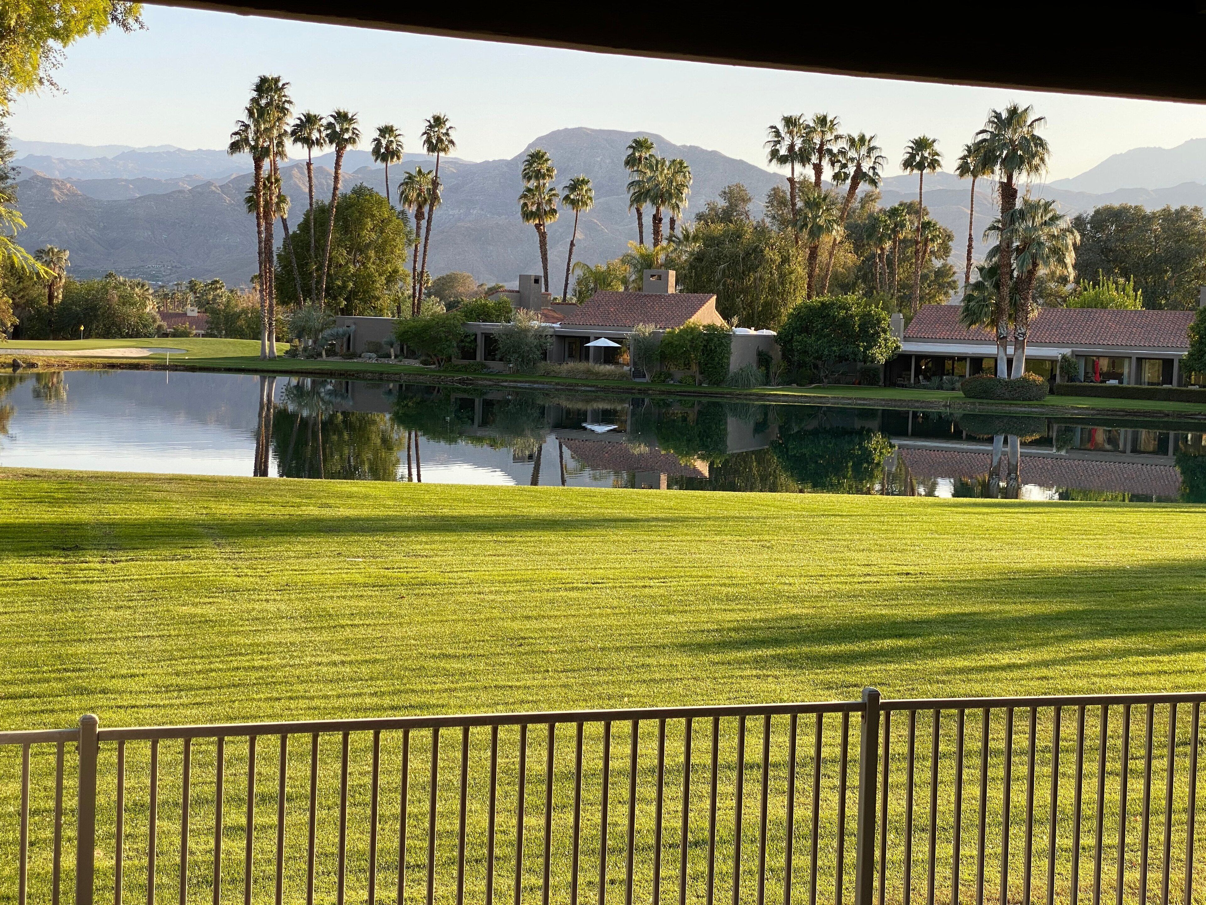 A golf course with a pond, palm trees, and houses in the background.