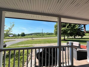 A covered outdoor area with a view of a vineyard, a paved road, and a grassy field. - Secluded Finger Lakes 3BR Retreat Near Keuka Lake with Vineyard Views (Branchport)