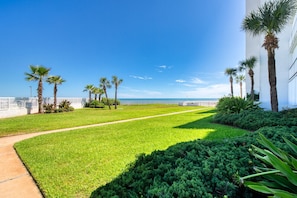 A well-maintained lawn with palm trees, a pathway, and a view of the ocean. - Aliki Atrium Beachfront Condo (Ormond Beach)