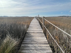 Una pasarela de madera que se adentra en una zona pantanosa bajo un cielo despejado.