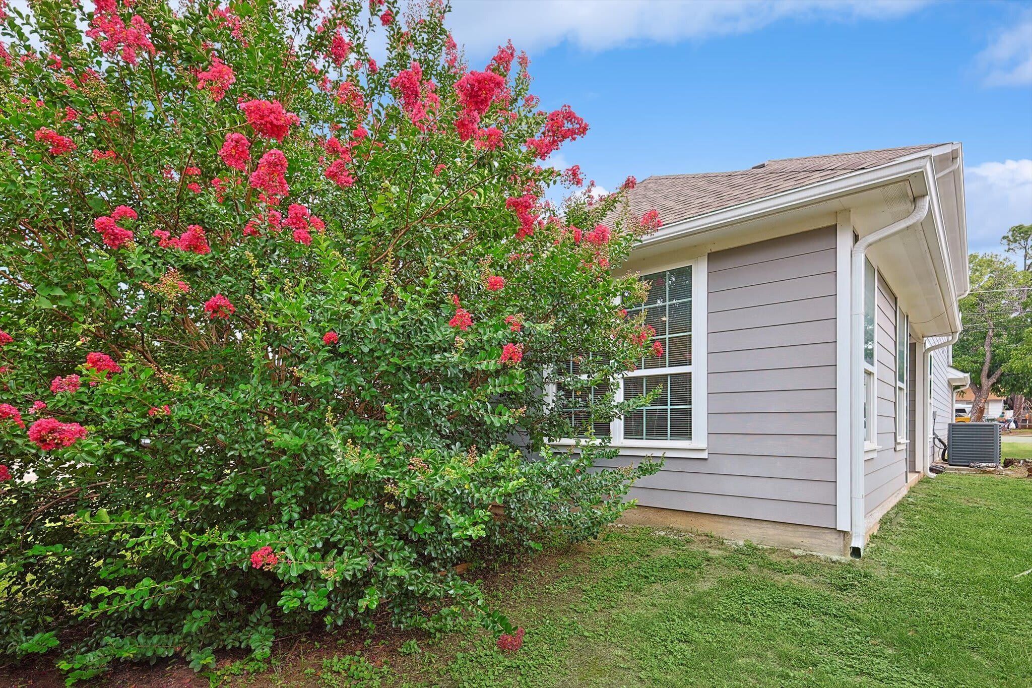 Uma casa com fachada cinzenta, uma janela com moldura branca e um pequeno jardim com grama verde e um arbusto com flores vermelhas.