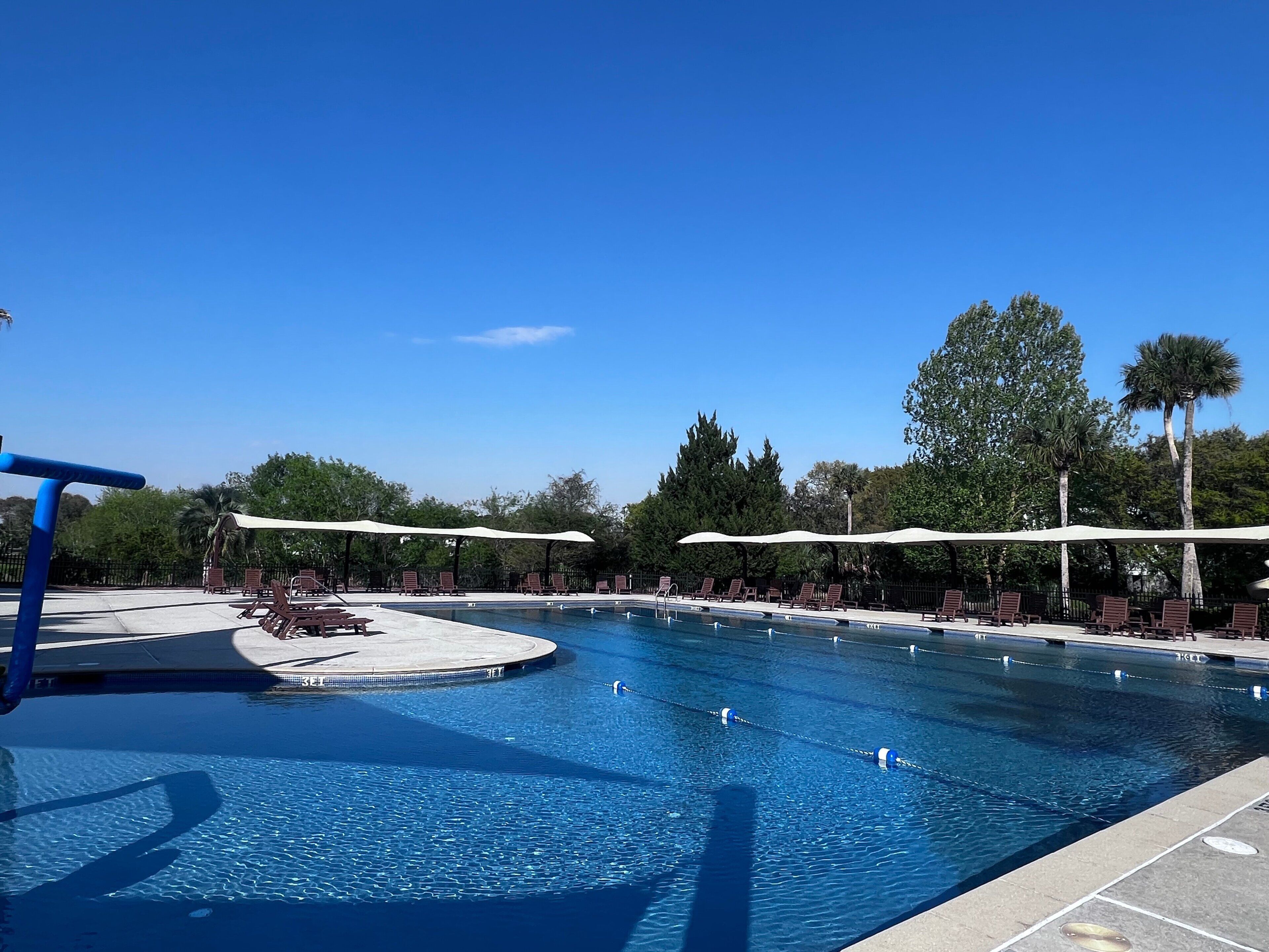 A swimming pool with lounge chairs and umbrellas, surrounded by trees.