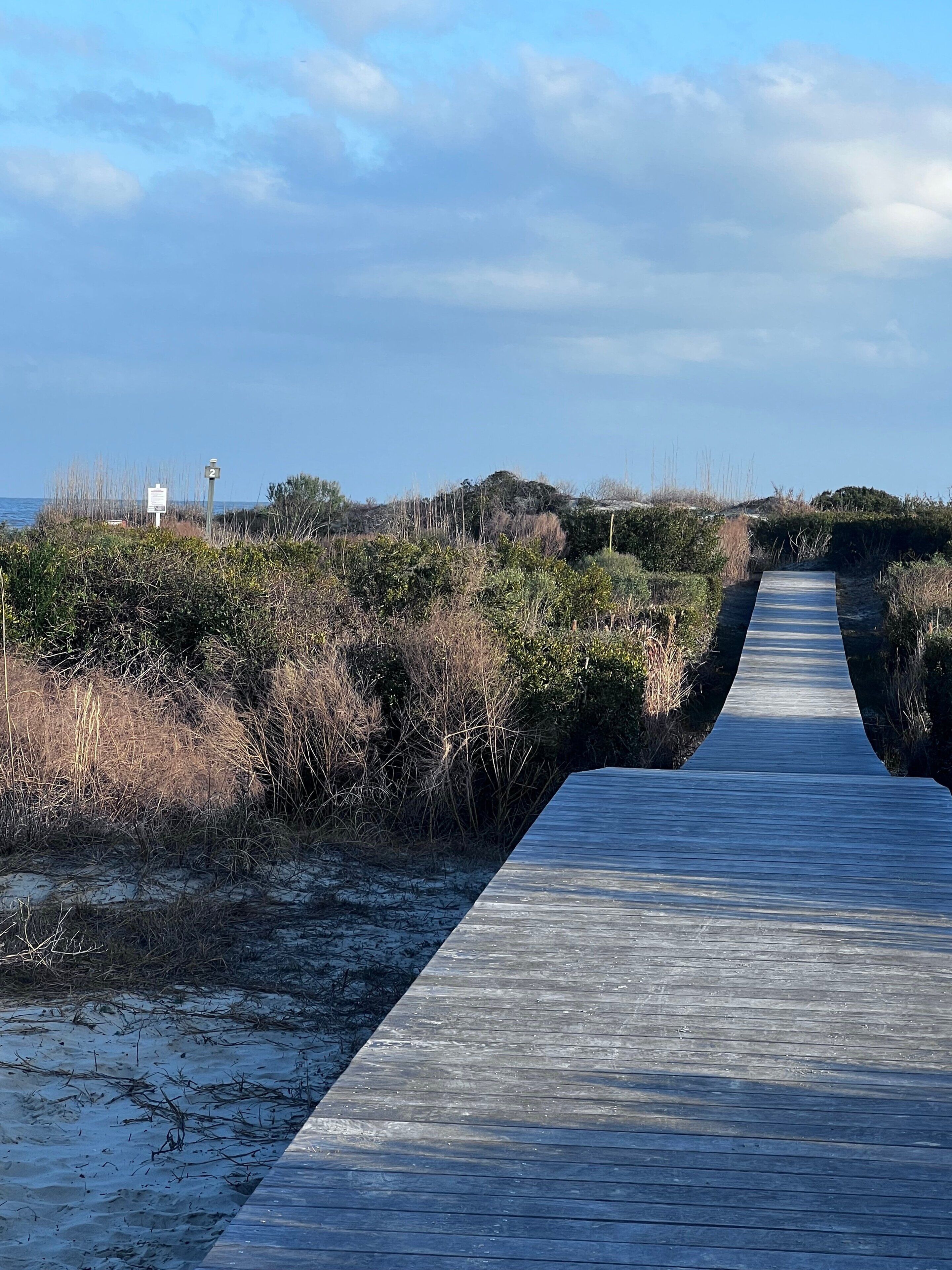 A wooden boardwalk leading through a natural landscape with sparse vegetation and a clear sky.