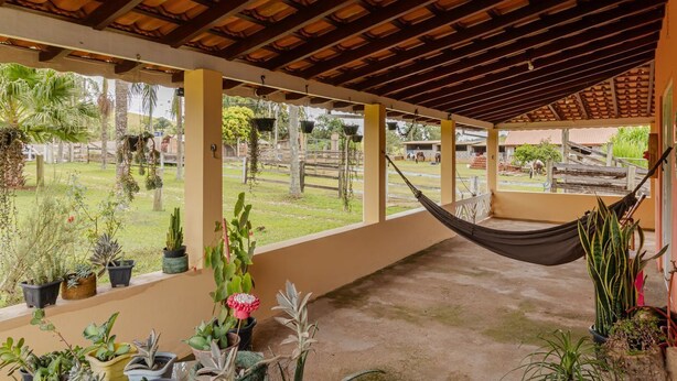 Un patio couvert aménagé avec un hamac, des plantes en pot et une vue sur le jardin environnant.