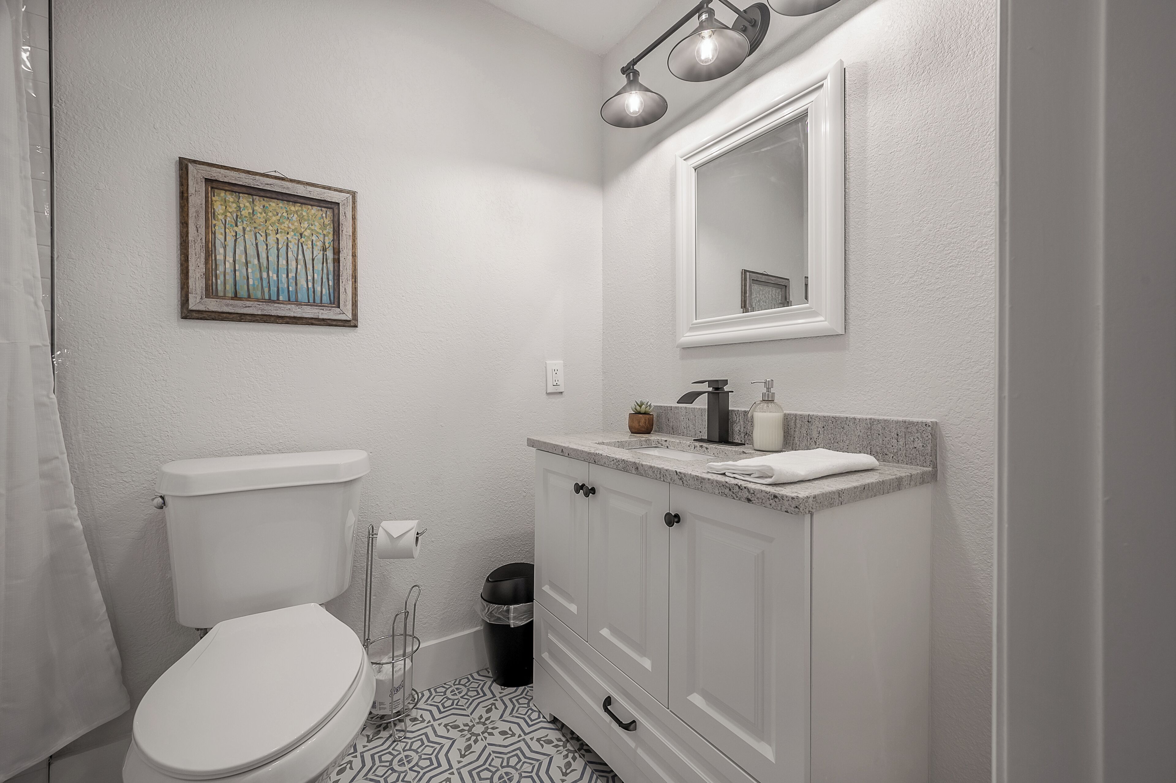 A bathroom with a toilet, sink, vanity, and a framed picture on the wall.