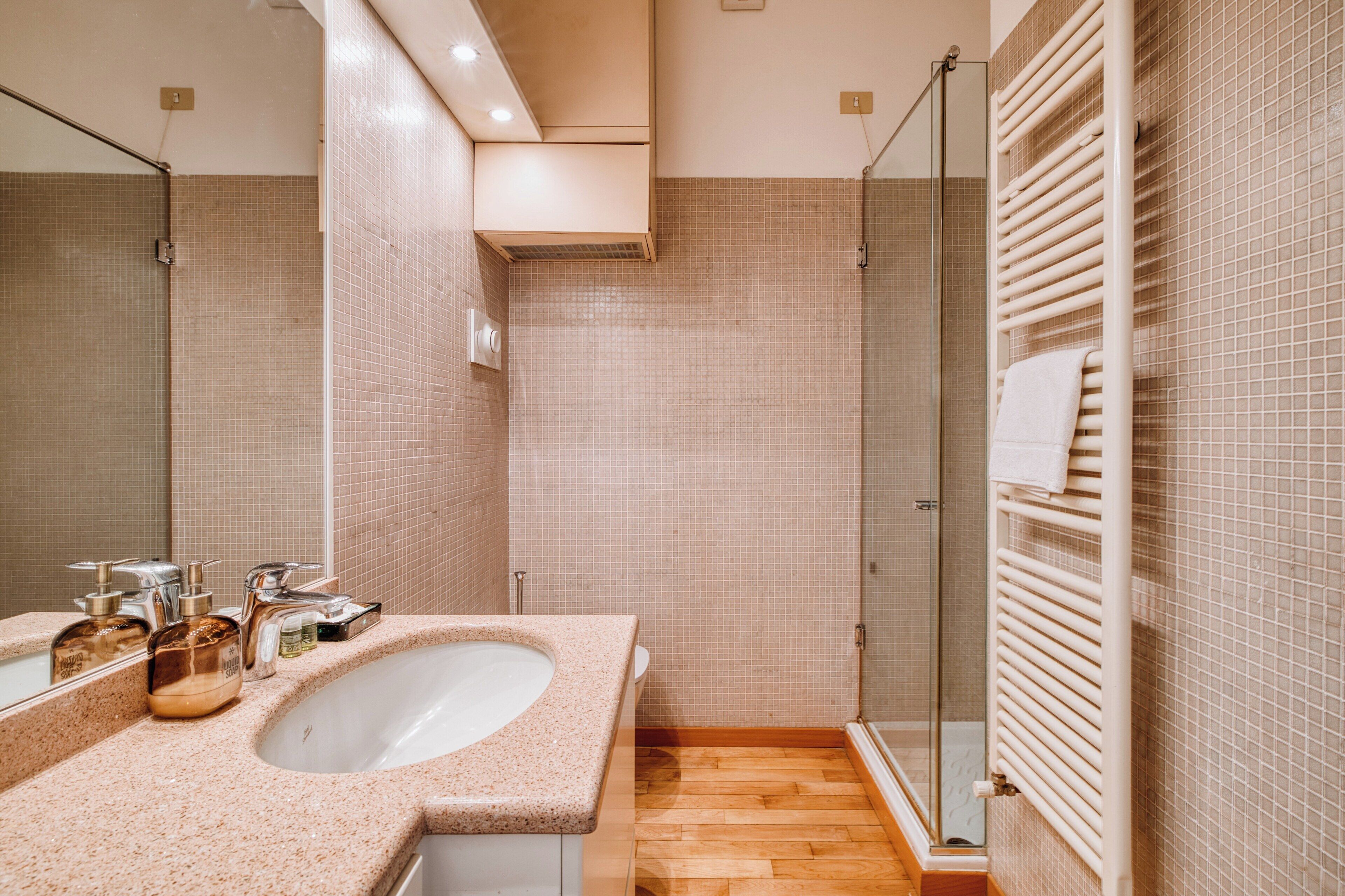 Apartment, 1 Queen-Bett | Badezimmer | Dusche, Handtücher, Seife, Shampoo