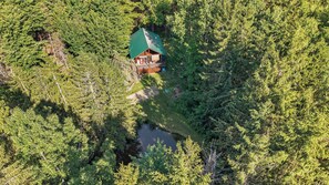 An aerial view of a cabin surrounded by dense forest, with a small pond nearby. - Secluded Keuka Hills Cabin | Pond | Pet Friendly (Branchport)