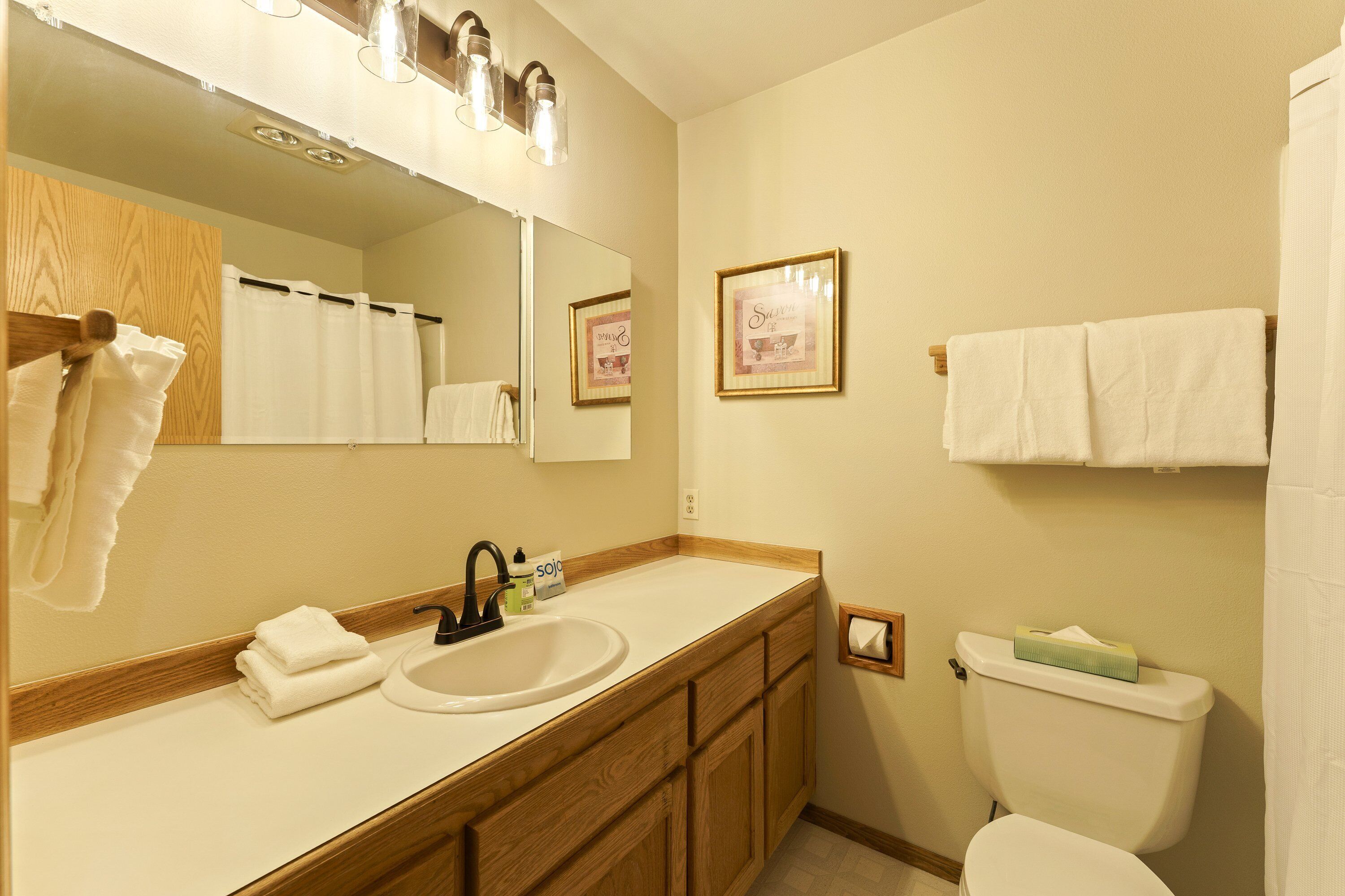 Une salle de bain avec un meuble-lavabo en bois, un évier, un miroir, des toilettes et un tableau encadré au mur.
