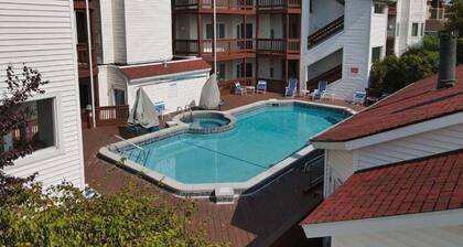 Million Dollar Bayview Beach Pool Downtown TC 1995