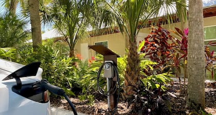 Siesta Heron 5 Key Lime