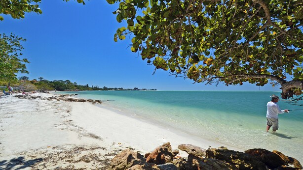 A beach with clear water, rocks, and a person standing in the water. - Shell Beach Home (Siesta Key)