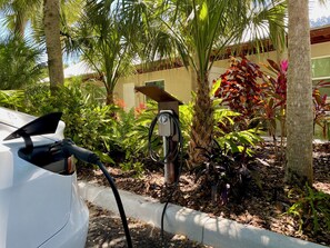 A car charging at a station in a lush, green outdoor area with palm trees and various plants. - Siesta Heron 4 (Siesta Key)