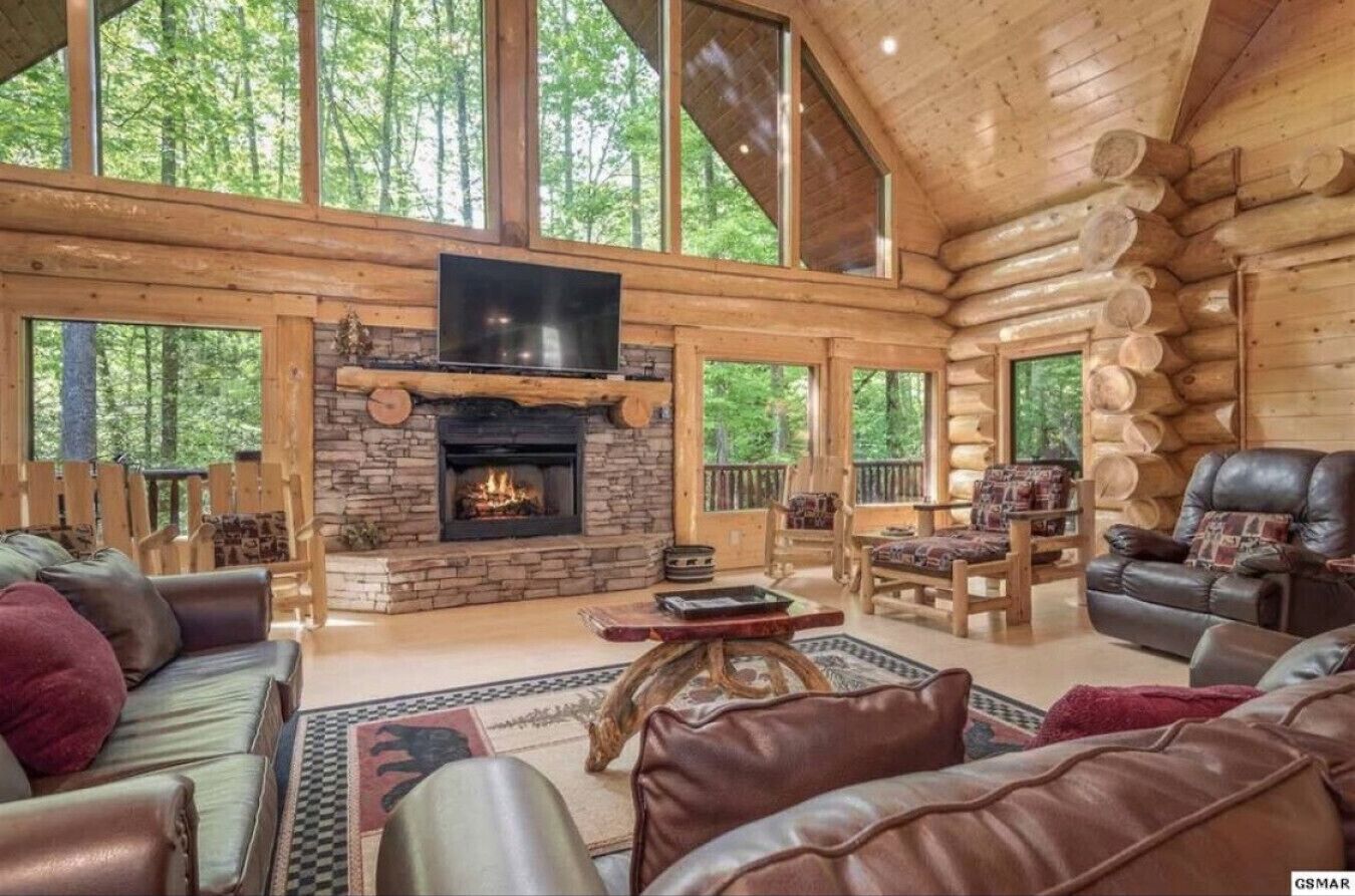 TV, fireplace, video games, DVD player