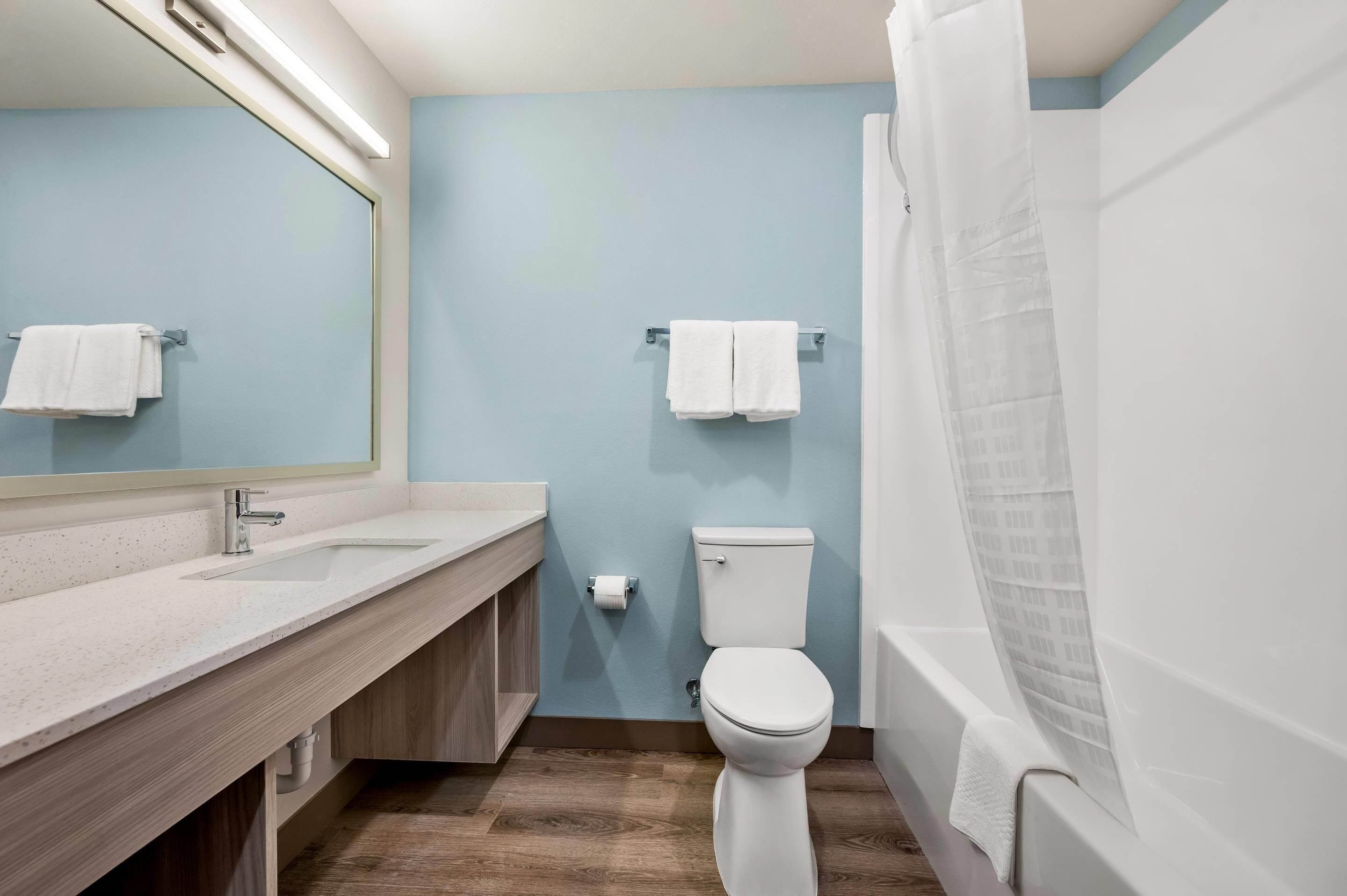 Suite, 1 grand lit, non-fumeurs | Wi-Fi gratuit